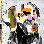 Weimaraner Dog Art Print by Michel Keck