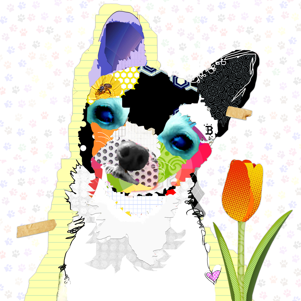 Chihuahua Dog Art.  Colorful Pop Art Chihuahua Dog Art Collage.  Chihuahua Art Canvas Prints.