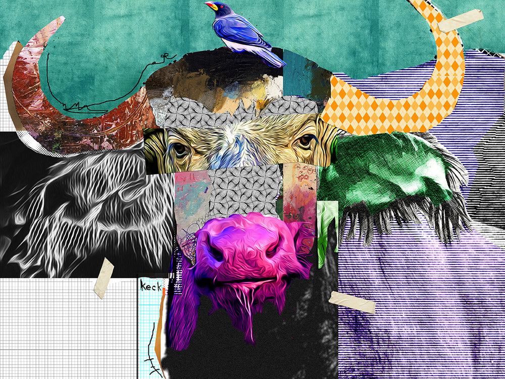 
                
                    Load image into Gallery viewer, cape buffalo art
                
            
