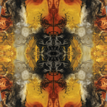 Abstract Art Prints - Echo Collection mirror images abstract art prints