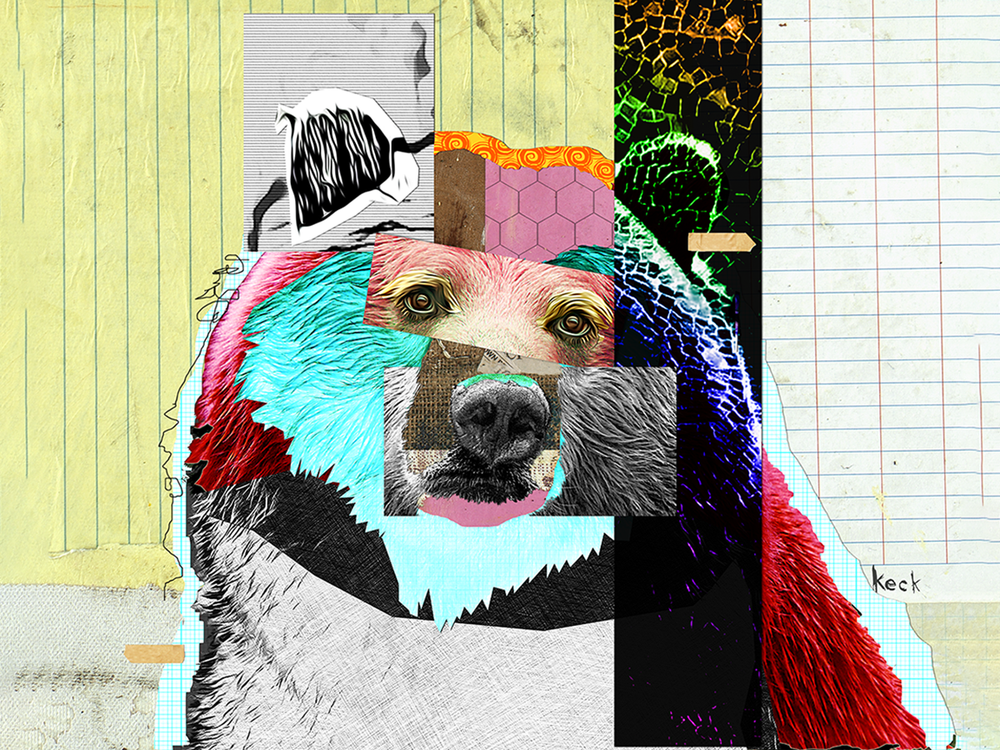 
                
                    Load image into Gallery viewer, bear art
                
            